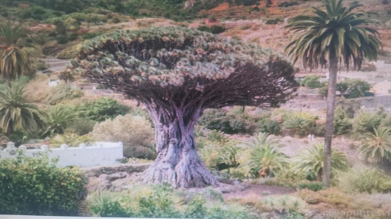 Tradicional Casa Canaria Con Piscina Y Vistas Al Teide Icod De Los Vinos Εξωτερικό φωτογραφία